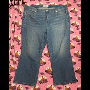 Torrid Blue Flare & Wide Leg Jeans